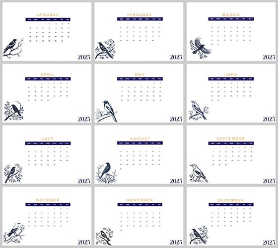 各种各样的鸟设计 2025 年日历矢量素材(EPS)