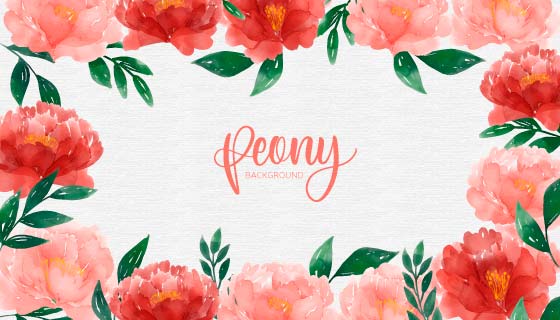 水彩美丽牡丹花背景矢量素材(EPS/AI/PNG)