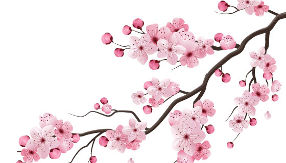 漂亮水彩樱花矢量素材(EPS/PNG)