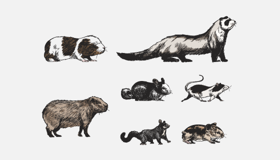 手绘风格动物矢量素材(EPS/PNG)