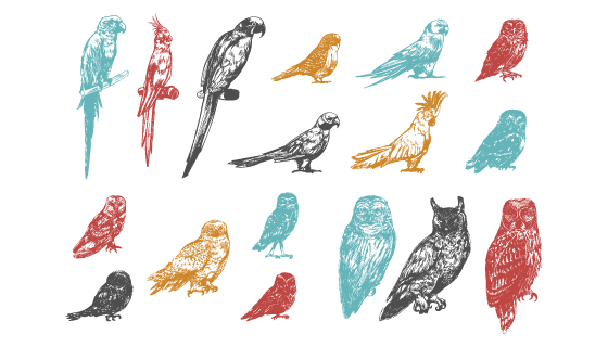 手绘多彩的鸟矢量素材(EPS/PNG)