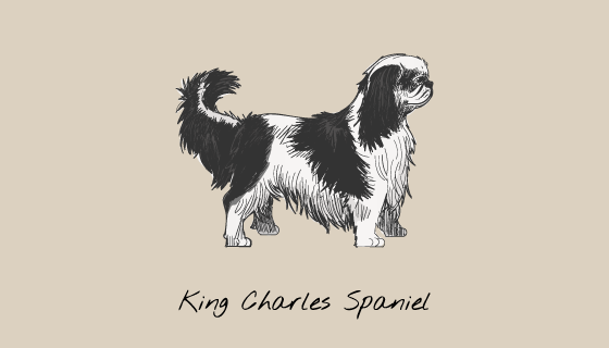 手绘查理士王小猎犬矢量素材(EPS/PNG)