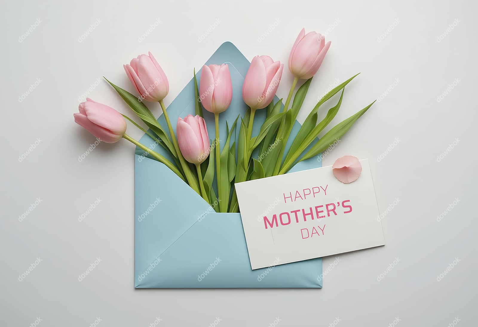 信封和郁金香设计母亲节图片素材