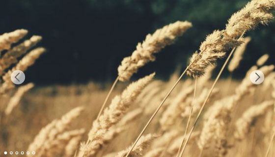 带剪切动画的幻灯片