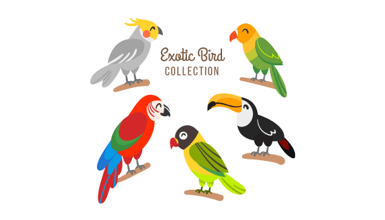 各种奇异的鸟矢量素材(EPS/AI/PNG)