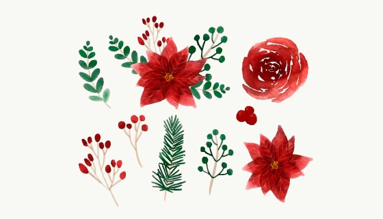 漂亮的水彩冬季花卉矢量素材(EPS/AI/PNG)
