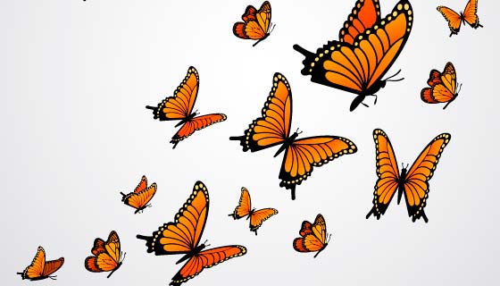 逼真的蝴蝶矢量素材(EPS/AI/PNG)