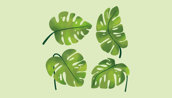 手绘龟背竹叶子矢量素材(EPS/AI/PNG)