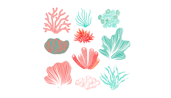 手绘多彩珊瑚矢量素材(EPS/AI/PNG)