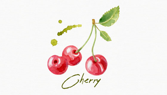 水彩风格樱桃/车厘子矢量素材(AI/EPS/PNG)