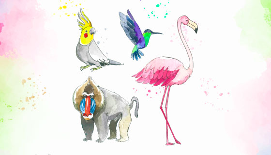 水彩风格热带动物矢量素材(AI/EPS/PNG)