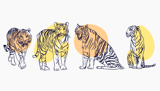 手绘野生老虎矢量素材(AI/EPS/PNG)