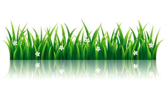 逼真的青草矢量素材(AI/EPS/PNG)