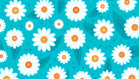 漂亮的白色菊花背景矢量素材(AI/EPS)