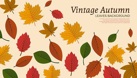 多彩叶子设计秋天背景矢量素材(AI/EPS)