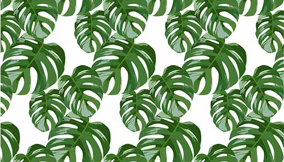 绿叶图案背景矢量素材(EPS)