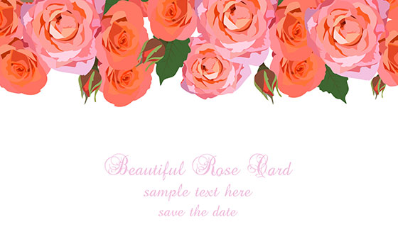 漂亮的红玫瑰背景矢量素材(EPS)