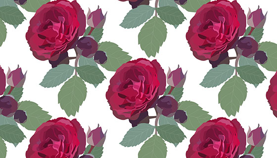 漂亮的红玫瑰背景矢量素材(EPS)