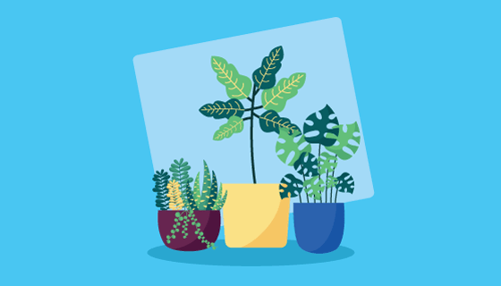 扁平风格装饰盆栽矢量素材(EPS)