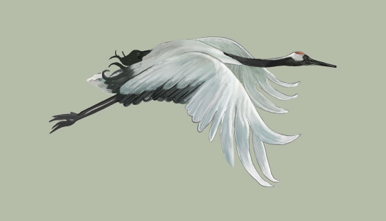 飞翔的白鹤矢量素材(EPS/PNG)