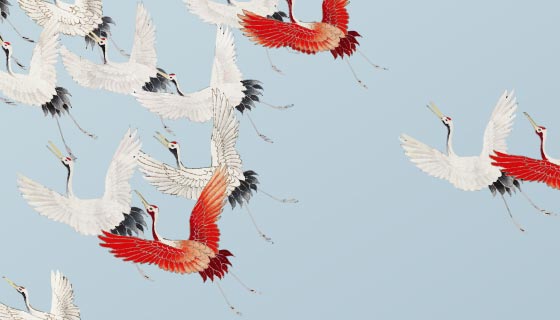 飞翔的鹤矢量素材(EPS)