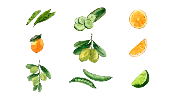 水彩风格蔬菜水果矢量素材(EPS/PNG)