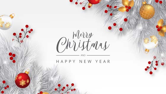 优雅的白色树枝圣诞节背景矢量素材(EPS/PNG)