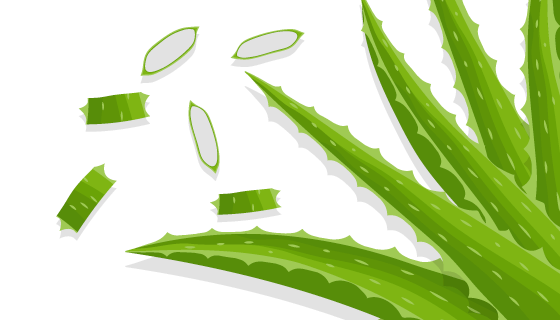 芦荟植物背景矢量素材(EPS/AI)
