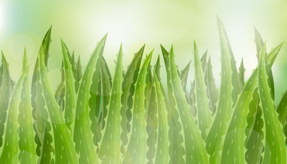 芦荟植物背景矢量素材(EPS/AI)