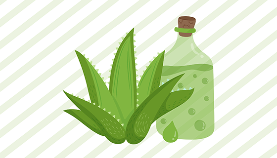 条纹背景芦荟植物矢量素材(EPS/AI)