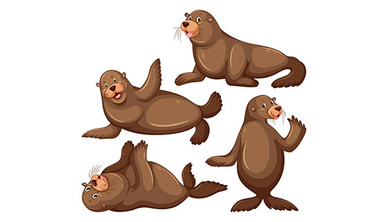 可爱的海狮矢量素材(EPS)