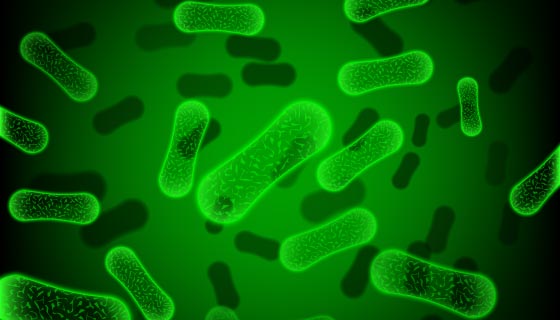 绿色杆状细菌矢量素材(EPS)