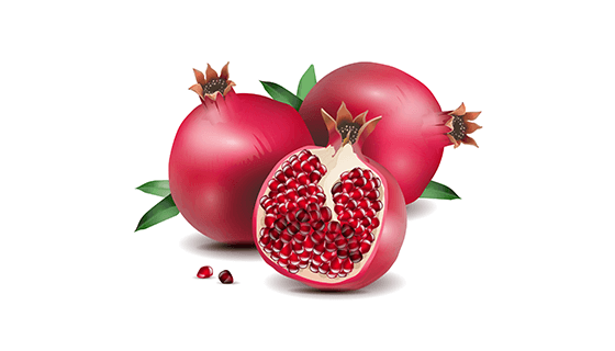 逼真的石榴矢量素材(EPS/AI)
