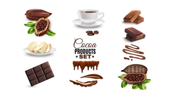 逼真美味的可可豆和巧克力矢量素材(EPS)