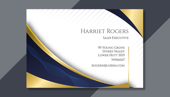 金色和蓝色点缀设计精美名片矢量素材(AI/EPS)