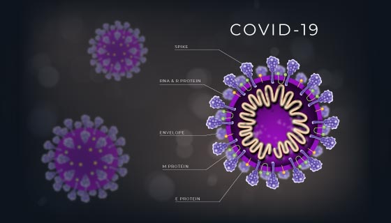 新型冠状病毒肺炎COVID-19矢量素材(AI/EPS)