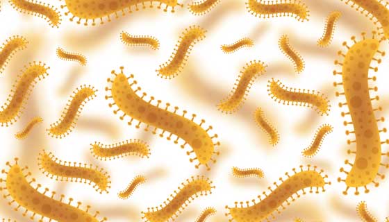 条形的细菌病毒矢量素材(EPS)