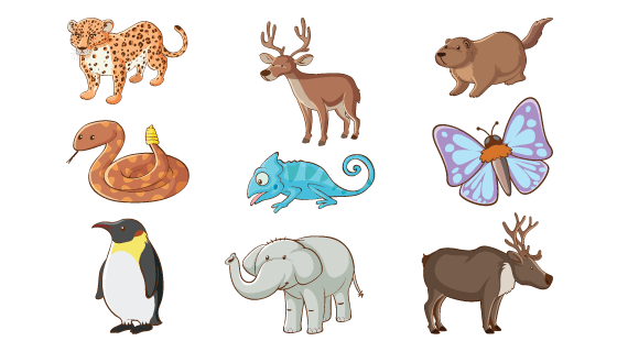 手绘风格的动物矢量素材(EPS/PNG)