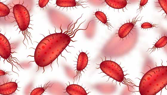 红色的病毒细菌矢量素材(EPS)