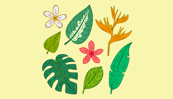 热带花朵叶子矢量素材(AI/EPS/PNG)