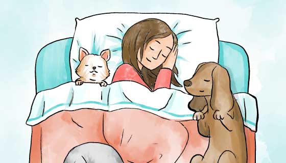 和宠物一起睡觉的女子矢量素材(AI/EPS)