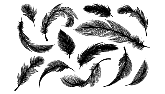 逼真的黑色羽毛矢量素材(EPS/PNG)