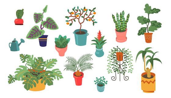 各种各样的盆栽矢量素材(EPS/PNG)