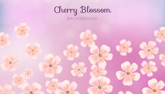 模糊樱花花瓣矢量素材(EPS/AI)