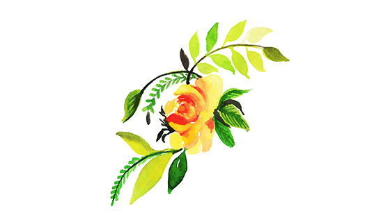 水彩画花朵矢量素材(EPS/PNG)