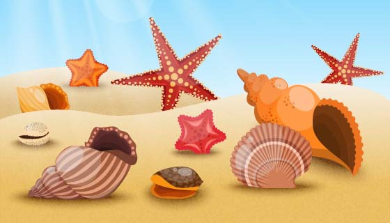 夏天海滩上的海星贝壳矢量素材(EPS)