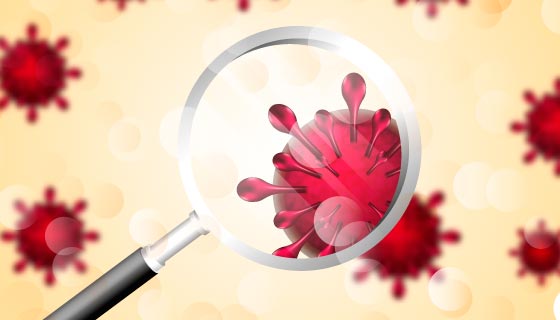 显微镜下的冠状病毒矢量素材(AI/EPS)