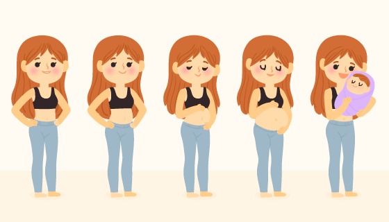 款妊娠期插图矢量素材(AI/EPS/PNG)