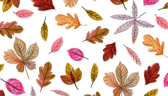 各种各样的秋叶矢量素材(AI/EPS/PNG)