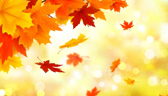 金黄色的叶子秋天背景矢量素材(AI/EPS)